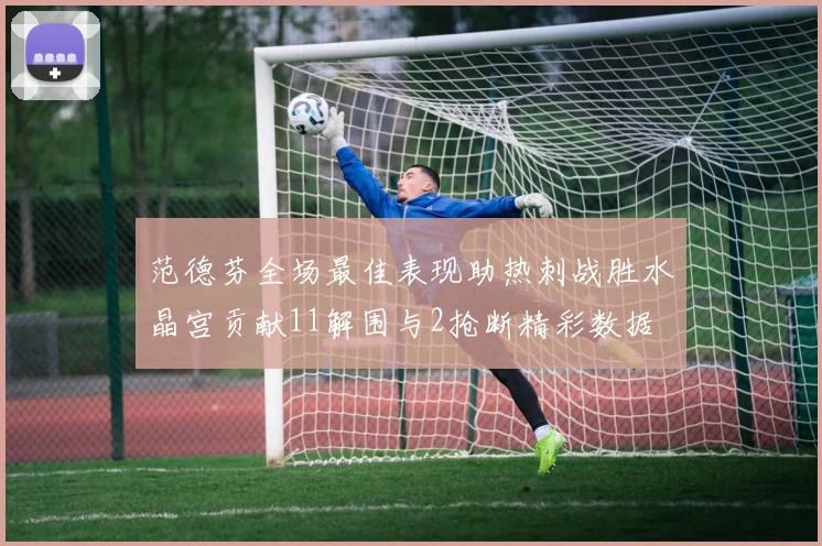范德芬全场最佳表现助热刺战胜水晶宫贡献11解围与2抢断精彩数据