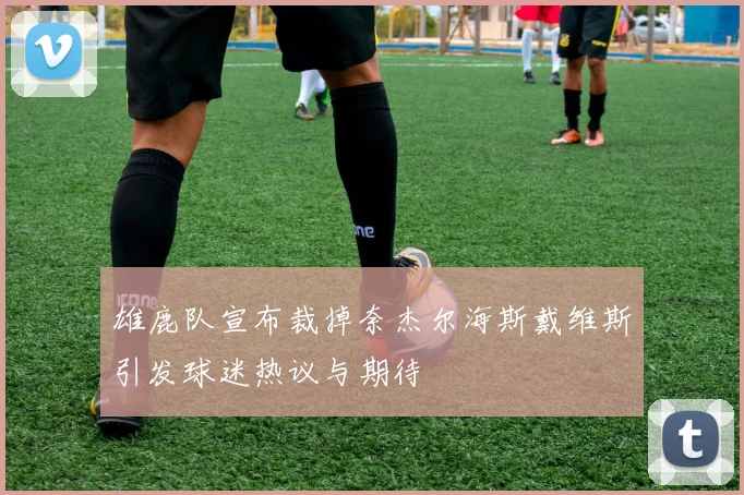 雄鹿队宣布裁掉奈杰尔海斯戴维斯引发球迷热议与期待